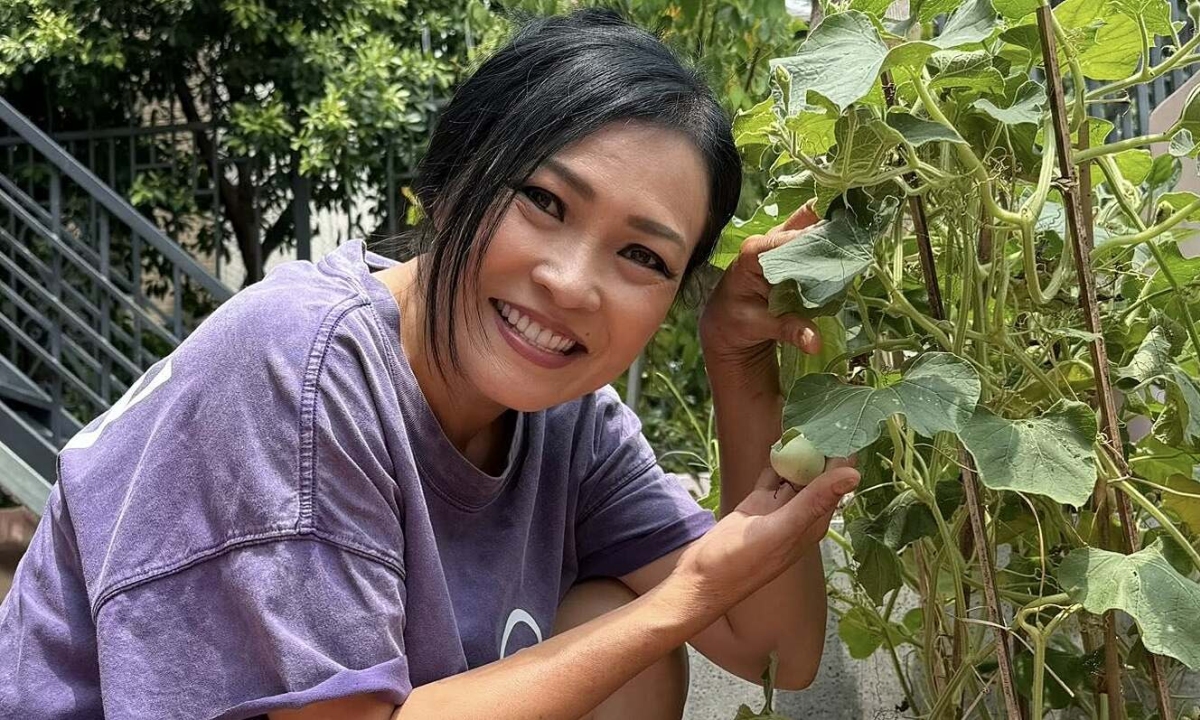 Thưởng tân thủ 789BET và niềm vui giản dị từ vườn rau sân thượng của Phương Thanh - hình ảnh - 789betjl.com