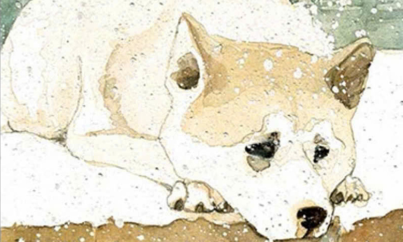 Nhà cái cá cược số 1 và bài học trung thành từ ‘Hachiko, chú chó đợi chờ’ - hình ảnh - 789betjl.com
