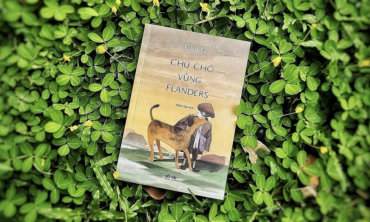 Khuyến mãi 789BET và câu chuyện cảm động về tình bạn trong ‘Chú chó vùng Flanders’ - hình ảnh - 789betjl.com