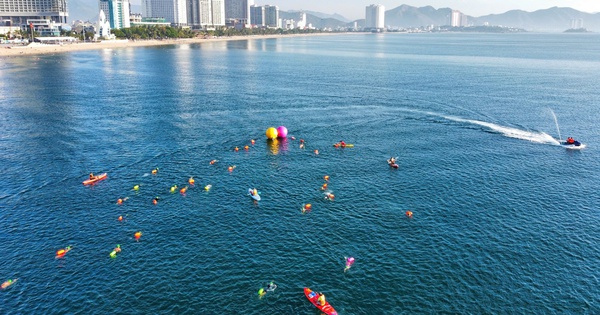 Cá cược thể thao uy tín và sức nóng từ giải bơi biển SeaStar Nha Trang Bay 2026 - hình ảnh - 789betjl.com