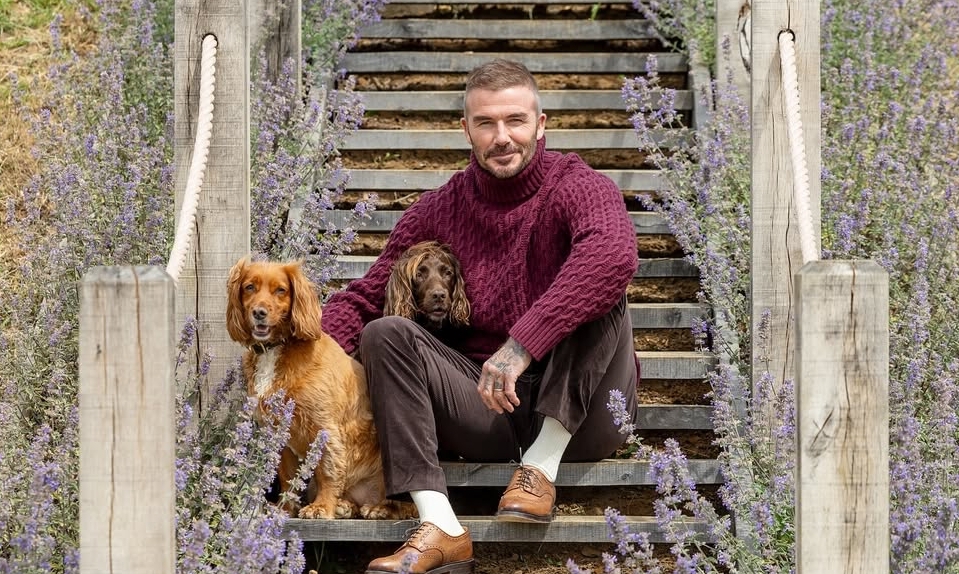 Phong cách mặc giàu ngầm của David Beckham và bài học thời thượng cho người Việt - hình ảnh - 789betjl.com