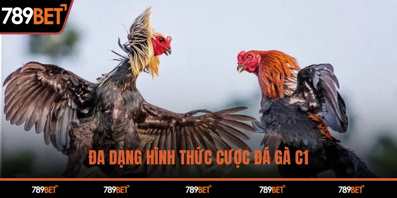 Đá Gà C1 Kịch Tính – Chiến Thắng Hấp Dẫn Chỉ Có Tại 789BET - hình ảnh - 789betjl.com