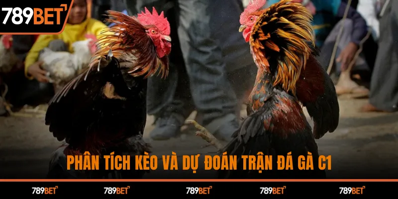 Đá Gà C1 Kịch Tính – Chiến Thắng Hấp Dẫn Chỉ Có Tại 789BET - hình ảnh - 789betjl.com